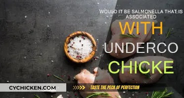Undercooked Chicken: Salmonella's Breeding Ground?