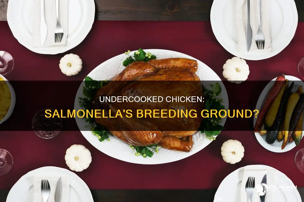 would it be salmonella that is associated with undercooked chicken