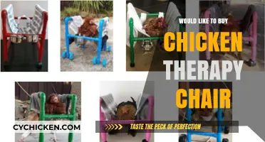Discover the Comfort of a Chicken Therapy Chair: Your Ultimate Relaxation Companion