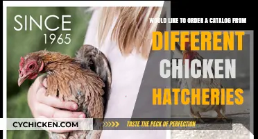 Exploring Chicken Hatcheries: A Guide to Ordering Your Perfect Catalog