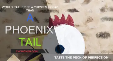 Chicken's Head or Phoenix's Tail: Which Would You Choose?