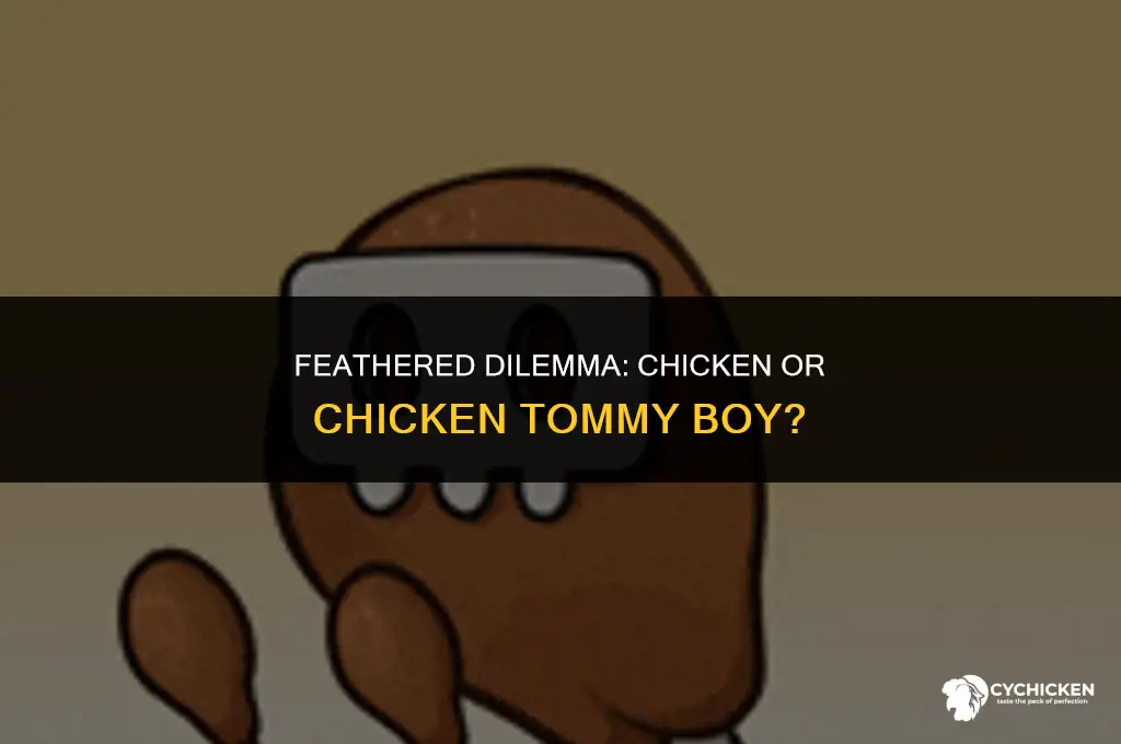 would you like chicken or chicken tommy boy