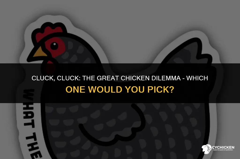 would you like chicken or chicken
