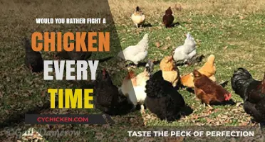 Would You Rather: Chicken Fights or Avoidance Strategies?