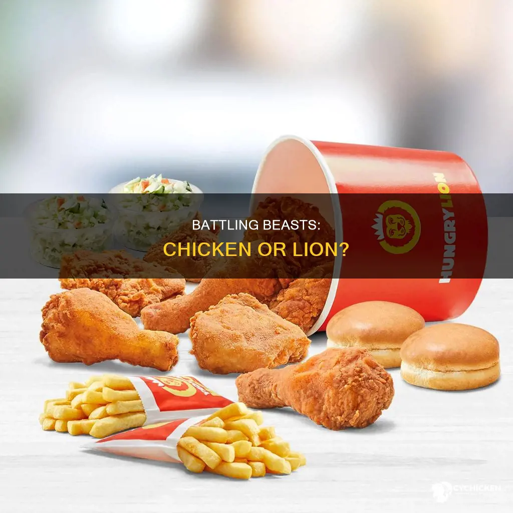would you rather fight a chicken or a lion